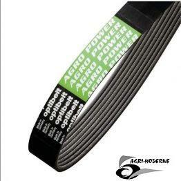 PIECES RECOLTE FENAISON CLAAS - Courroies - VIP - COURROIE NERVURES