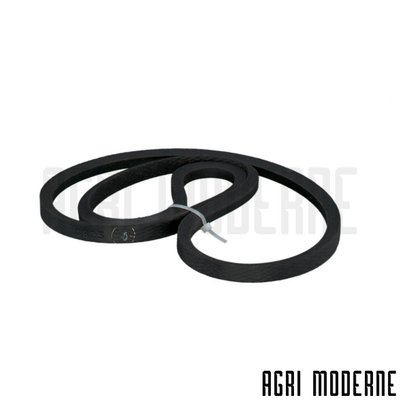 PIECES RECOLTE FENAISON CLAAS - Courroies - VIP - COURROIE