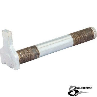 PIECES TRAVAIL DU SOL - Pièce d'usure - Axe avec butee D25/55x176/193 Zn