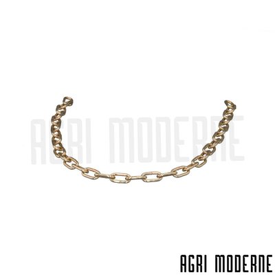 PIECES RECOLTE FENAISON CLAAS - Chaînes - CHAINE