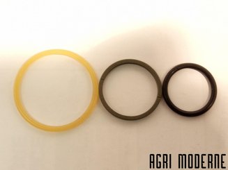 PIECES RECOLTE FENAISON CLAAS - Joints - JOINT DE PISTON