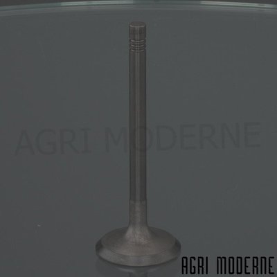 PIECES TRACTEUR CLAAS - Moteur - SOUPAPE