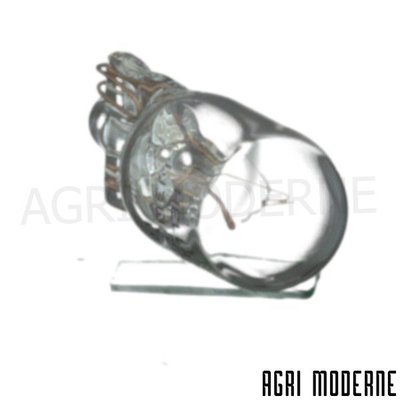 PIECES TRACTEUR CLAAS - Carrosserie - LAMPE