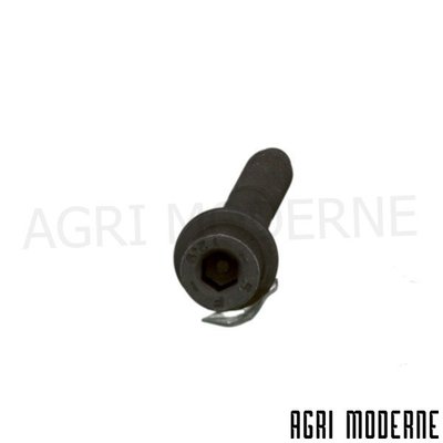 PIECES RECOLTE FENAISON CLAAS - Moteur - VIS