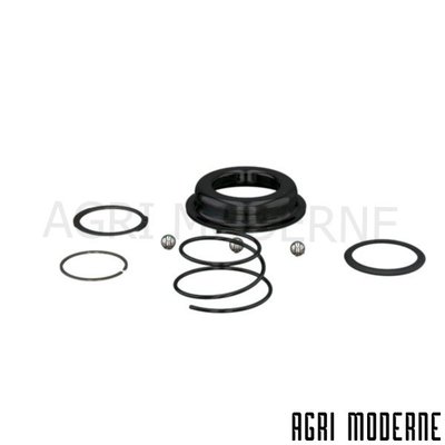 PIECES RECOLTE FENAISON CLAAS - Transmission - VERROUILLAGE RAP.