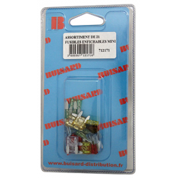 DIVERS FOURNITURES - Signalisation Électricité - HF- 21 FUSIBLES MINI ENFICHABLE