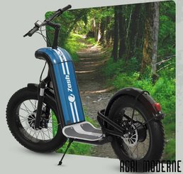 PETIT MATERIEL - Manutention - Trottinette électrique MOUNTAIN ZOSH toute suspendue