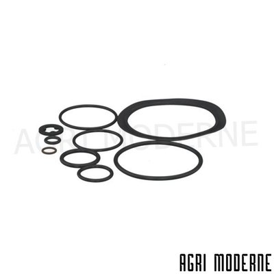 PIECES TRACTEUR CLAAS - Moteur - JEU BAGUES ETANCH