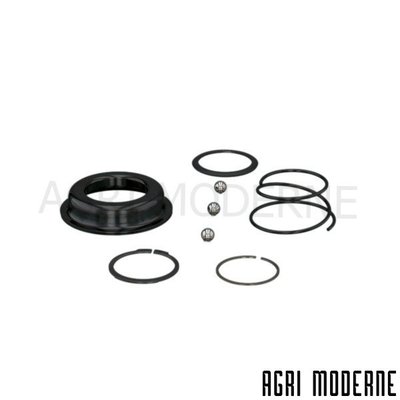 PIECES RECOLTE FENAISON CLAAS - Transmission - VERROUILLAGE RAP.