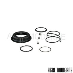 PIECES RECOLTE FENAISON CLAAS - Transmission - VERROUILLAGE RAP.