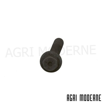 PIECES TRACTEUR CLAAS - Boulonnerie - VIS