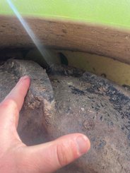 Tracteur agricole Claas ARION 420 ADVANCE - 4