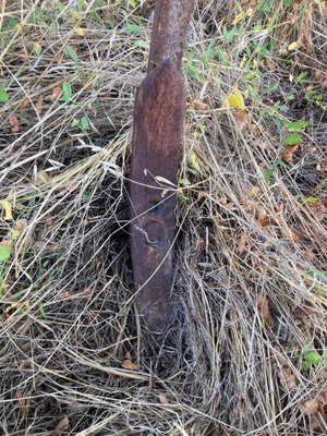 Déchaumeur à dents Askel 5m