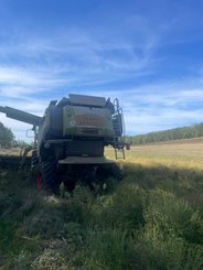 Moissonneuse batteuse Claas LEXION 750 MONTANA - 3